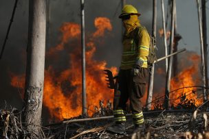 Alerta roja en San Javier: más de 80 hectáreas lleva consumido incendio forestal