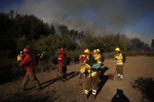 Alerta roja en Olmué por incendio que amenaza viviendas y parque La Campana