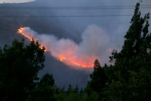 Conaf: 21 incendios forestales a nivel nacional, 7 activos y 14 controlados