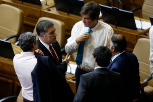 Cámara de Diputados aprobó restablecer voto obligatorio en elecciones populares