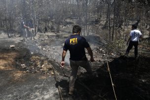 Fiscalía y PDI realizan peritajes en busca de culpables de incendios en Valparaíso