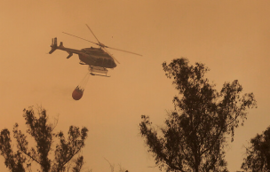 Alerta roja en Valparaíso por voraz incendio forestal en el sector de Placilla