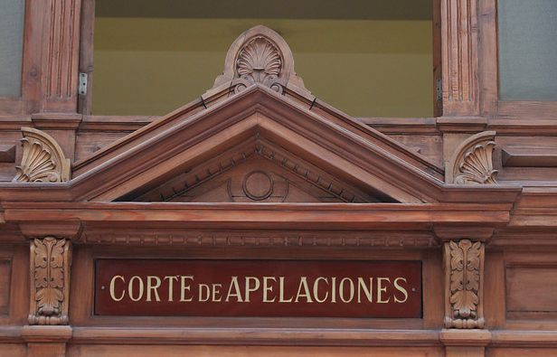Declaran admisible querella contra Dauno Tótoro por incitación al derrocamiento