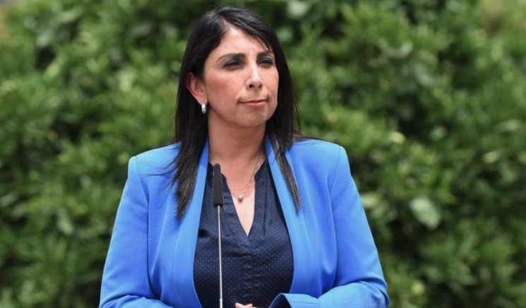 Vocera precisa que Presidente Piñera se refirió a las fake news al mencionar los videos