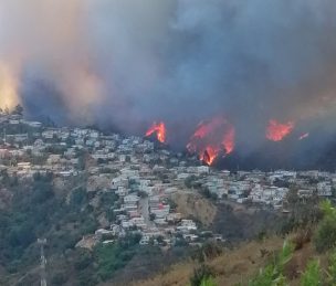 Onemi solicitó evacuar a localidades de Cuesta Colorada y Cerro Rocuant por incendio forestal que afecta a Valparaíso