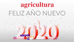 Con distintas celebraciones, Chile celebró la llegada del 2020 en diferentes puntos del país