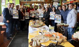 Pymes inician campaña para reactivar el turismo y la economía en Puerto Montt