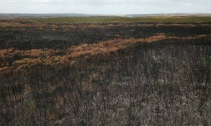 Tormentas extinguen los incendios del este de Australia