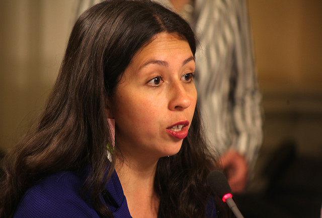 Diputada Gael Yeomans: “Creemos que a mayor reparto, más se van a aumentar las pensiones”