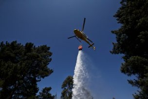 ONEMI reporta 10 incendios forestales activos a nivel nacional