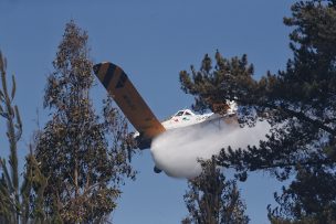 Declaran Alerta Roja para la comuna de Lota por incendio forestal