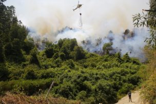 ONEMI informó que 13 incendios forestales se mantienen activos en el país