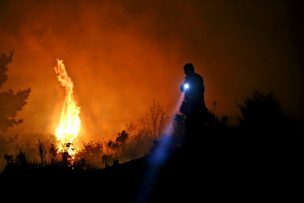 Conaf reporta 53 incendios forestales a nivel nacional hasta esta noche