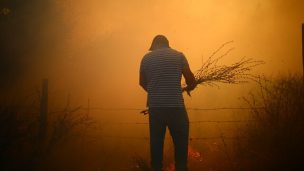 Declaran alerta roja para la comuna de Chillán Viejo por incendio forestal