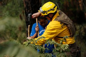 Parque Metropolitano tendrá su propia brigada de Conaf