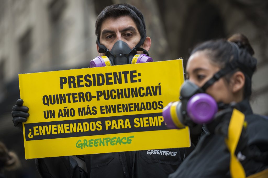 Greenpeace sospecha contaminación de empresas por muerte de animales en Concón