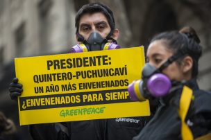 Greenpeace sospecha contaminación de empresas por muerte de animales en Concón