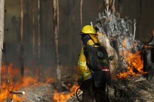 Alerta roja: incendio forestal ha consumido más de 20 hectáreas en Navidad