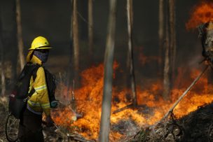 Reforzarán combate al fuego en el Biobío con más de 100 brigadistas