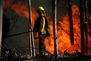 Alerta roja para comuna de Talca por incendio forestal cercano a viviendas