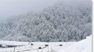 Al menos 100 muertos en Pakistán como consecuencia de inclemencias climáticas