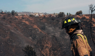 Cancelan Alerta Roja para la comuna de Coltauco tras controlar incendio forestal