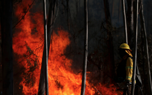 Declaran alerta roja para la comuna de Navidad por incendio forestal