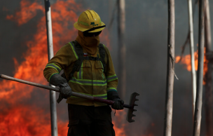 Fiscalía y Conaf coordinan investigación de incendios forestales en Los Ríos