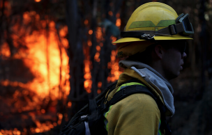 Alerta roja en Angol por incendio cercano a viviendas e infraestructura crítica