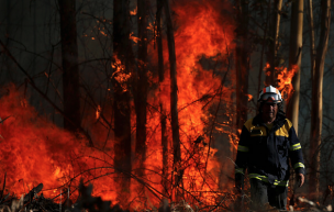 Conaf reporta 43 incendios forestales a nivel nacional: 8 se encuentran activos