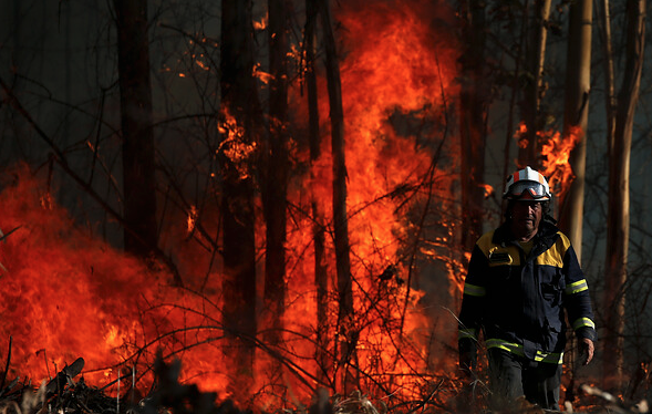 Conaf reporta 43 incendios forestales a nivel nacional: 8 se encuentran activos