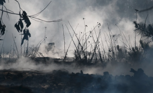 Declaran Alerta Roja para la comuna de Galvarino por incendio forestal