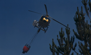 Declaran Alerta Roja en Lumaco por incendio forestal que consume 150 hectáreas