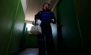 Descubren un ratón en el área de alimentos del Hospital San José de Maipo