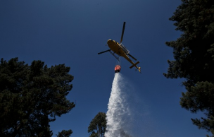 Declaran Alerta Roja para la comuna de Talca por incendio forestal