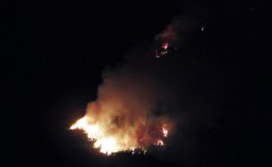 Declaran Alerta Roja para la comuna de Temuco por incendio forestal