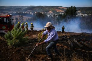 Declaran Alerta Roja para la comuna de Traiguén por incendio forestal