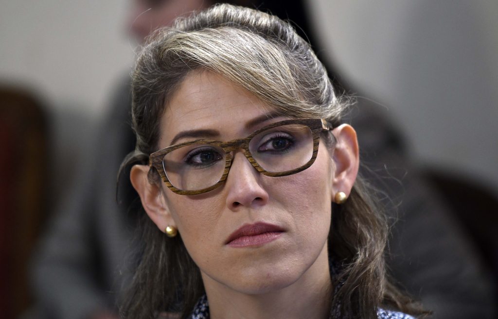 Guarequena Gutiérrez, representante de Guaidó en Chile: “Nos preocupan los hechos de violencia”