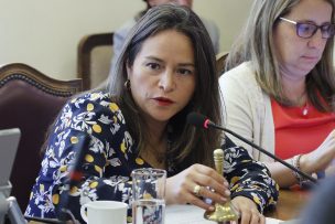 Diputada Pérez estudiará la presentación de acciones legales para paralizar empresa