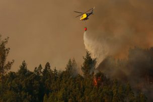 Onemi decretó Alerta Roja para la comuna de Penco por incendio forestal