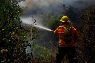 Onemi declara Alerta Roja por incendios forestales en Hualqui y Molina