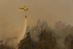 Onemi reportó que hay 34 incendios forestales activos en el país