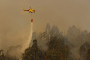 Alerta Temprana Preventiva para la Región Metropolitana por amenaza de incendio forestal