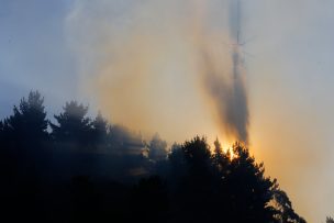 Alerta Roja para la comuna de Vicuña por incendio forestal