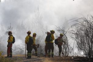 ONEMI reporta 17 incendios forestales activos a nivel nacional