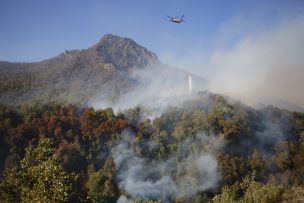 Ministro Walker por incendio de Agua Fría: “El perímetro está contenido en un 80% - 85%”