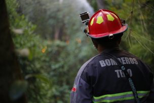 Declaran Alerta Roja para la comuna de Mariquina por incendio forestal