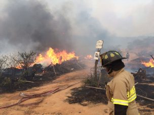 Se mantiene la Alerta Roja para Quilpué por un incendio forestal