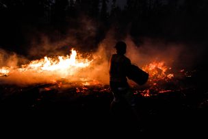 Bajan a Alerta Amarilla en comuna de Hualqui por incendio forestal