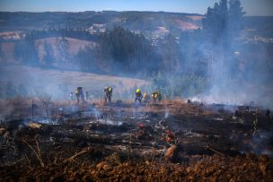 Declaran Alerta Roja para la comuna de Victoria por incendio forestal